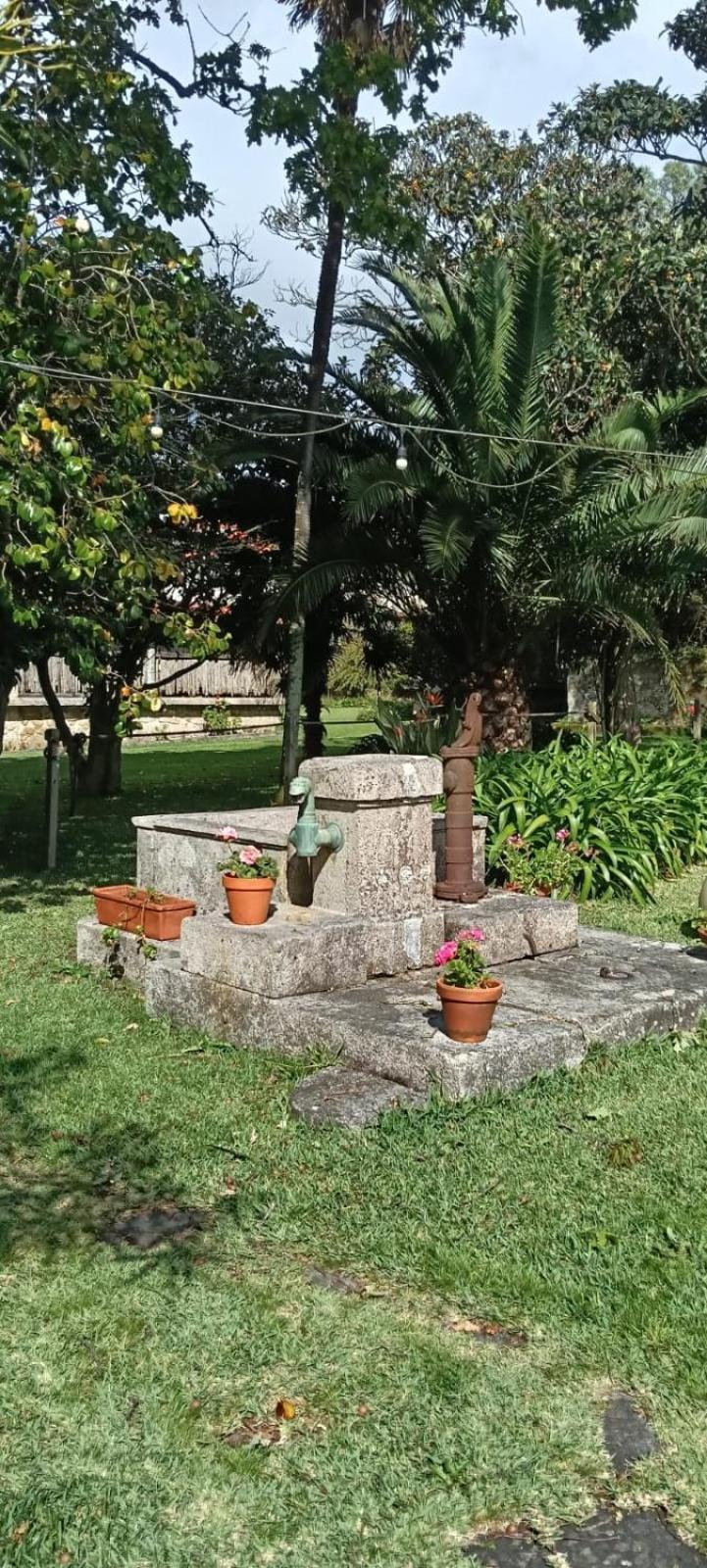 Antas Guest House Esposende Buitenkant foto
